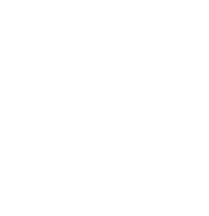 Shalom City Index